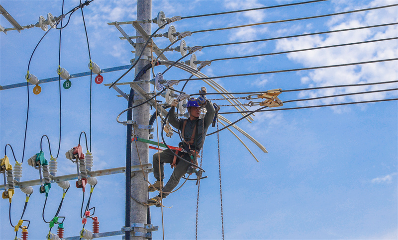 河南新乡：电力保障十足 “莓”好产业兴旺