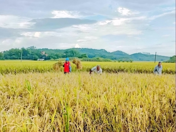 国网宜丰县供电公司：电力护航文化节