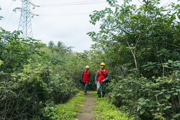 新型电力系统，适配“波动”新能源