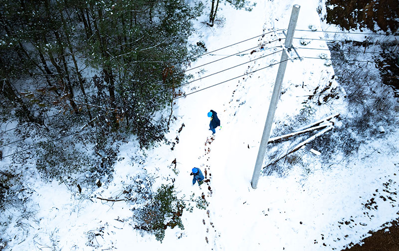 国网厦门供电公司：电力赋能 激活发展新脉动