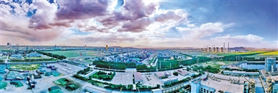 辽宁锦州供电公司清理藤蔓植物 为电力设备“松绑”