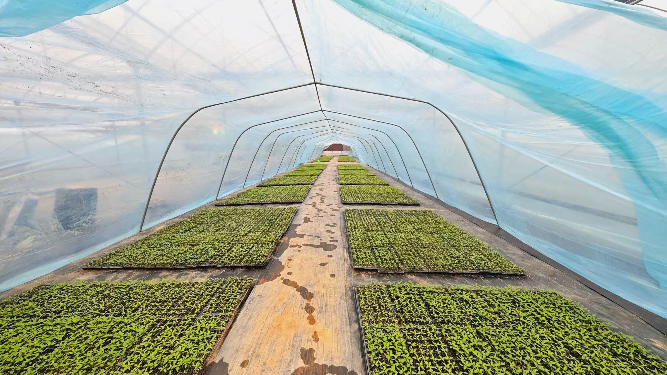 江西电力职业技术学院成功培育国际化电力技能人才