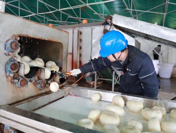 中企捐赠教学设备 助力埃及中文教育