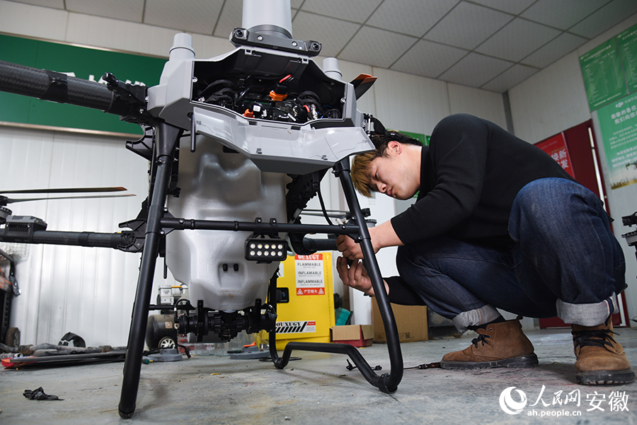 电力赋能，助“云花”美丽绽放