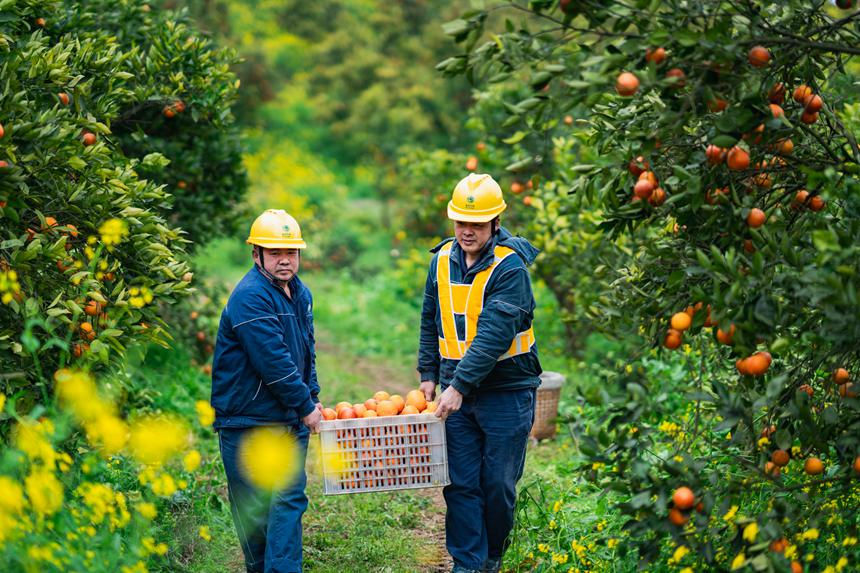 人民财评：电力现货市场助力电力资源高效配置