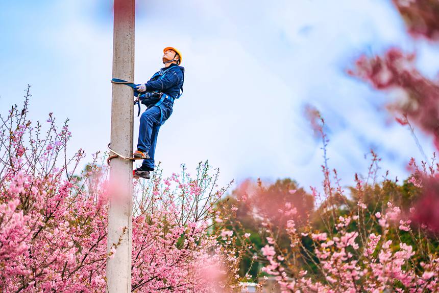 电力碳足迹因子发布