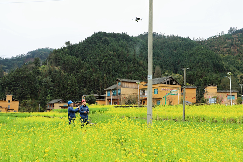 向绿向新 探路新型电力系统