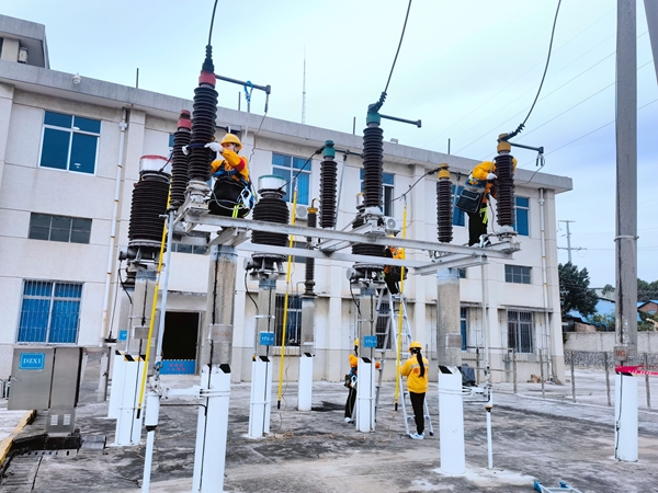 国网天津电力：电助丰收“好苗头”